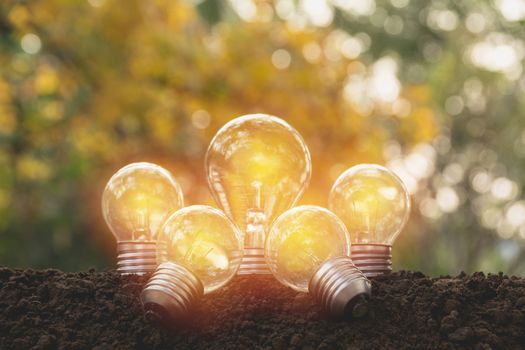 Light bulbs with glowing. Idea, creativity and solar energy concept with light bulbs.