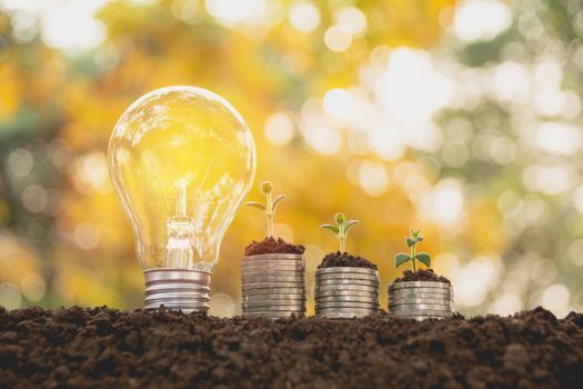 Energy saving light bulb and tree growing on stacks of coins on nature background. Saving, accounting and financial concept.