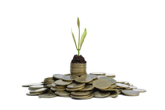 Saving money concept with money coin stack growing for business. financial and accounting concept isolated on white background.