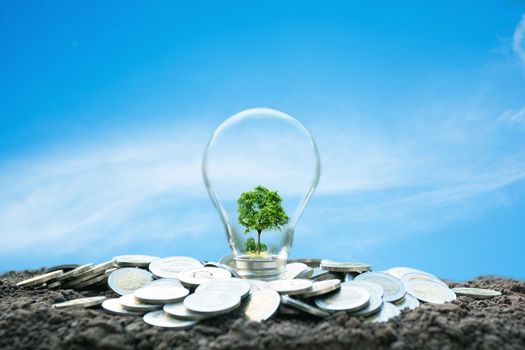 Energy saving light bulb and tree growing on nature background. Saving, accounting and financial concept.