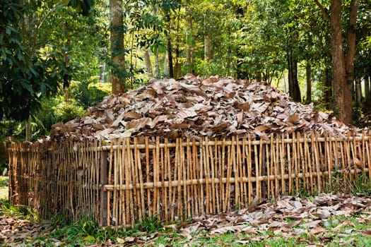 Yellow dry leave in the wooden cage on nature background.