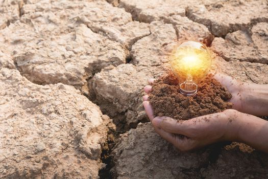 Hand of person holding light bulb for idea or success or solar energy concept.