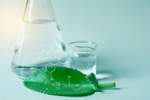 Glass laboratory chemical test tubes with liquid for analytical , medical, pharmaceutical and scientific research concept.