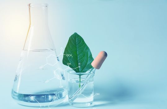 Glass laboratory chemical test tubes with liquid for analytical , medical, pharmaceutical and scientific research concept.