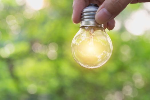 Hand of person holding light bulb for idea or success or solar energy concept.