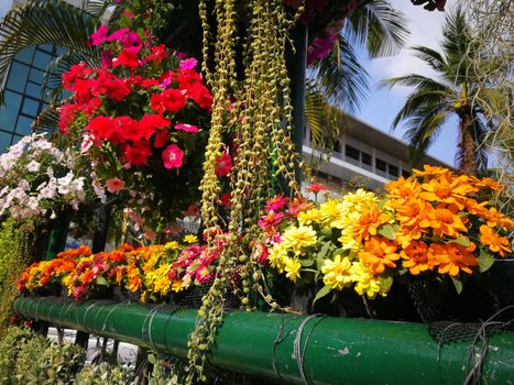 colorful of flowers on the way in congratulations ceremony