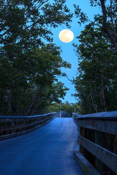 Moonrise over boardwalk over River leading to the ocean at Clam Pass at dusk in Naples, Florida