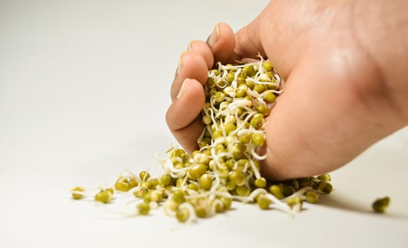 sprouted green gram coming flowing out of hand on isolated white background.