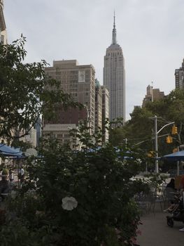 panoramic of new york