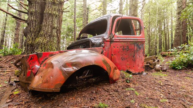 An abandoned classic vehicle rusts in a Northern California forest.