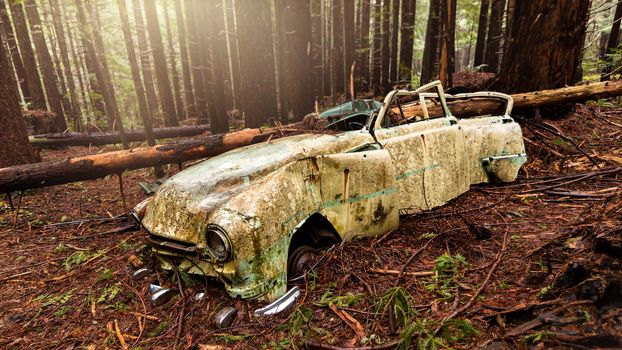 An abandoned classic vehicle rusts in a Northern California forest.