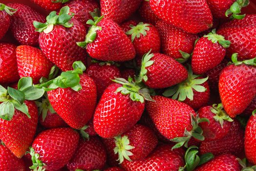 group of Fresh organic strawberries fruit