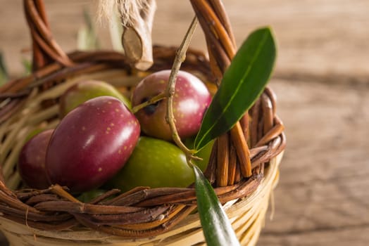fresh olives in a basket, placed on a rustic wooden table. Olives from Sicily, Italy