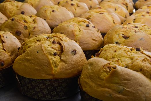 Traditional panettones with raisins and candied fruit. Italian pastry