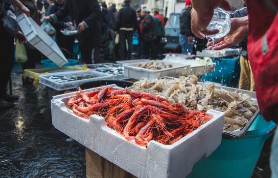 fresh raw seafoods on counter in Catania fish market, Italy