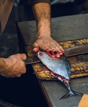Fishmonger cutting a small tuna on a wooden cutting board, Catania fish market, Italy