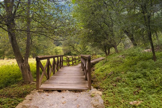 Small rustic wooden bridge and path surounded by green trees in summer.