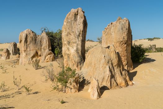 Pinnacles Desert, Nambung National Park, Western Australia