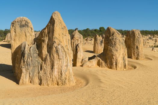 Pinnacles Desert, Nambung National Park, Western Australia