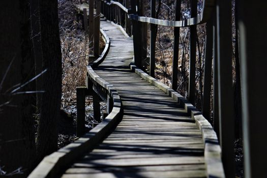 Photo of a Boardwalk along Grand Valley Trail following Grand River in Ontario.