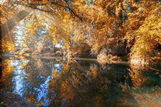 Reflection on Crabtree Creek in Linn County Oregon during fall season