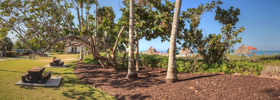 Clear blue sky over Lowdermilk Park in Naples, Florida