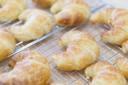 Closeup croissant homemade bakery, selective and soft focus
