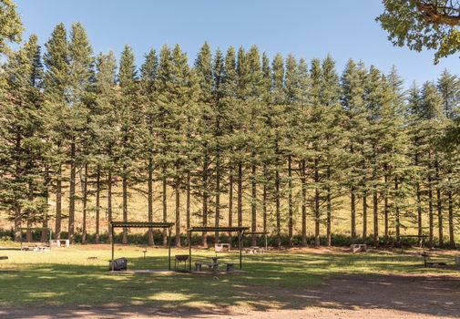 A shaded picnic area at Golden Gate in the Free State Province of South Africa