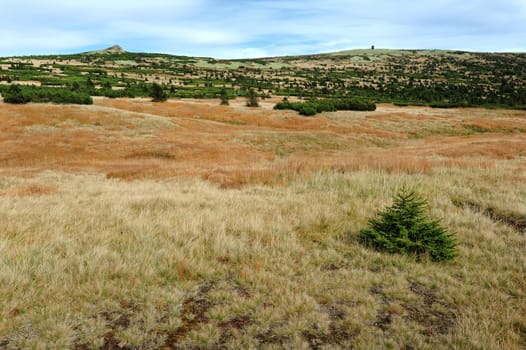 View of the rocky landscape of the Krkonose