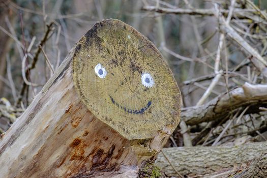 Wood logs with smiling faces