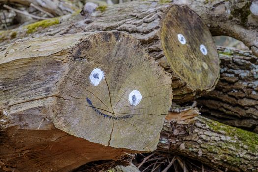Wood logs with smiling faces