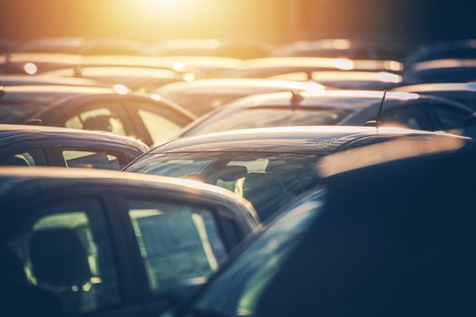 Dealership Lot Full of Cars. Automotive Sales Industry. Brand New and Pre Owned Vehicles For Sale.