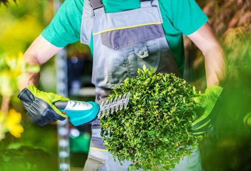 Spring Time Plants Trimming. Garden Topiary Theme. Caucasian Gardener with Cordless Trimmer.