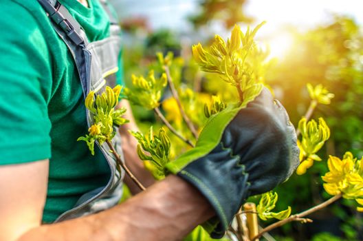 Upcoming Gardening Season. Caucasian Gardener and the Garden Vegetation Time.