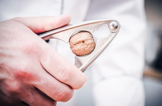 Walnut Inside Nut Cracker. Cracking the Nut in the Kitchen by Caucasian Chef.