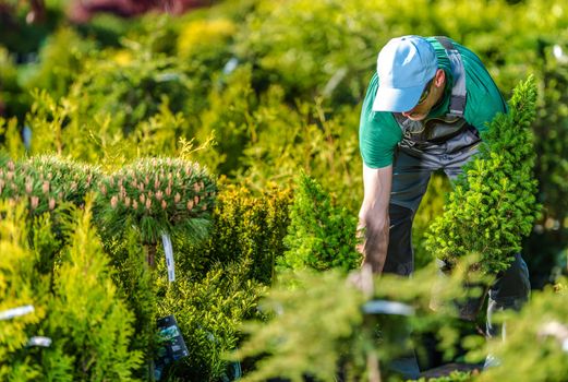 Caucasian Gardener Buying New Plants in His Favorite Garden Store.