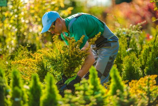 Caucasian Gardener Looking For a New Plants For Garden Project. Landscaping Theme.