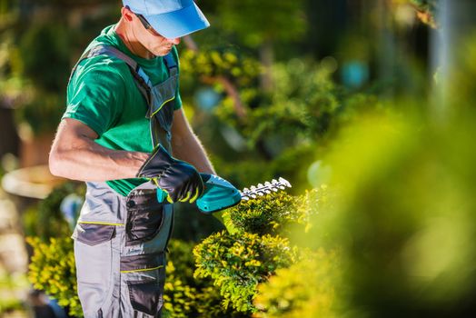 Spring Time Plants Trimming Work. Caucasian Gardener in the Garden.