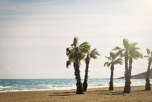 Perfect tropical white sand beach with palm trees