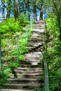 Forest trail, hiking trail in Neandertal with steep stairs