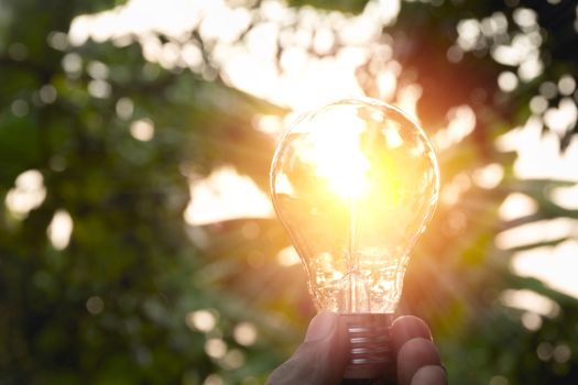Hand holding light bulbs with glowing on ground. Idea, creativity and saving energy with light bulbs concept.