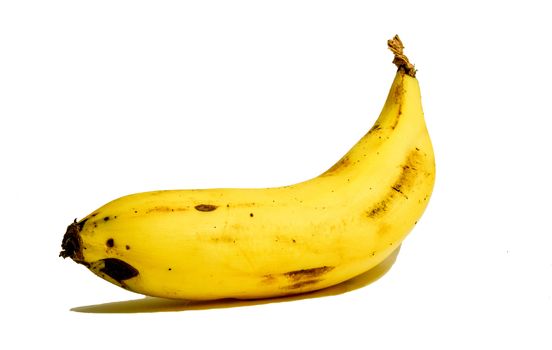 single banana isolated white background.