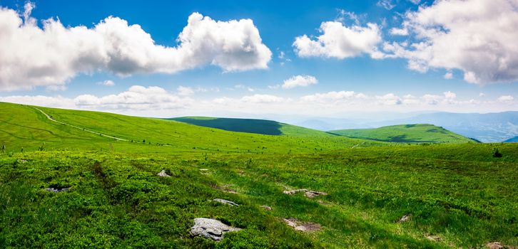 beautiful panoramic mountainous landscape. lovely summer scenery of grassy hills under the  blue sky with clouds
