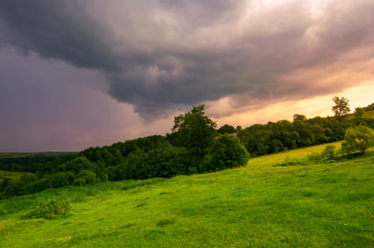 beautiful countryside on a cloudy sunset. trees on grassy hillside in evening light