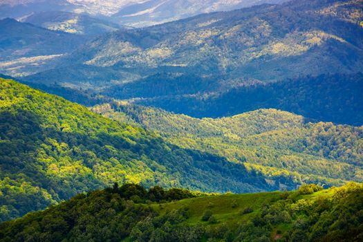 beautiful rolling hills of Carpathian mountains. lovely summer landscape, bird eye view