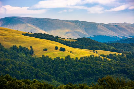 beautiful rolling hills of Carpathian mountains. lovely summer landscape, bird eye view