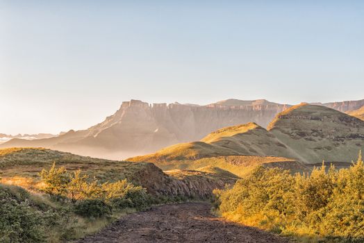 Sunrise on the road to the Sentinel car park with the Amphitheatre in the Drakensberg in the back