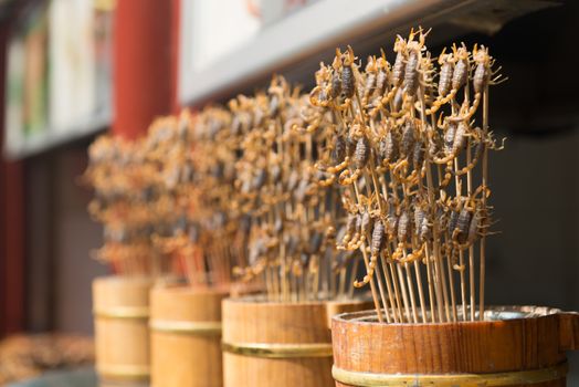 Grill and fried scorpions on stick from Wangfujing street at Beijing, China