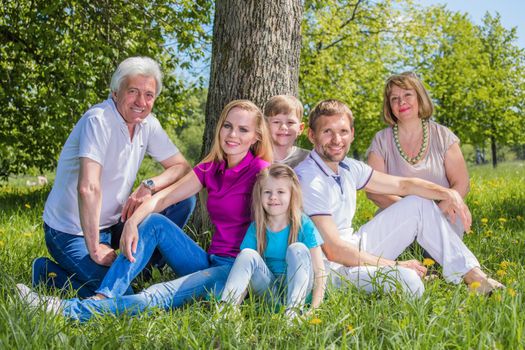 Smiling multigeneration family of grandparents, parents and children sitting on grass in park and looking at camera