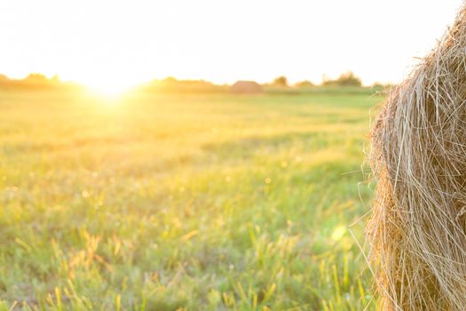 Sheaf of hay on the field at sunset, Tambov region, summer, sunset, evening